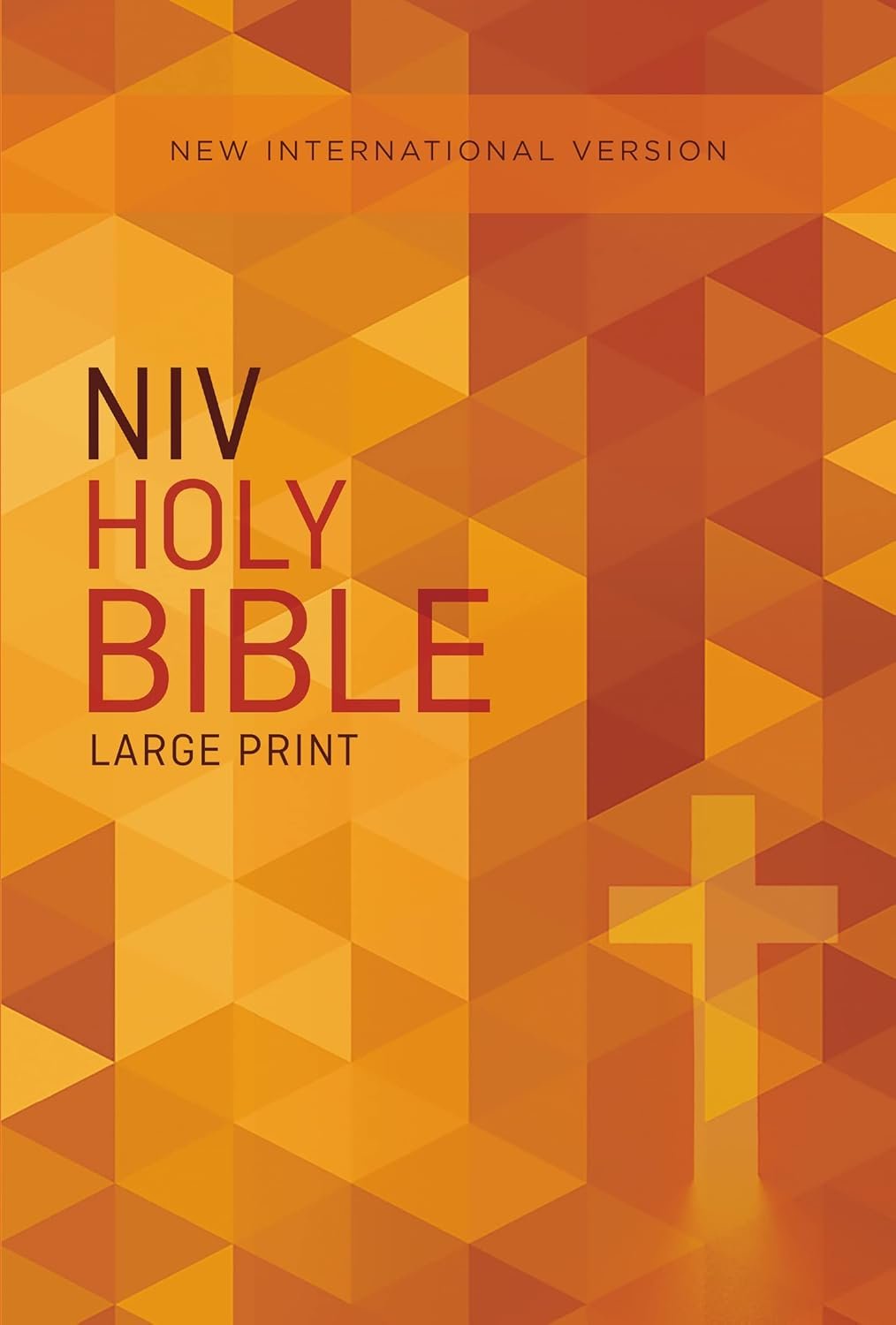 NIV OUTREACH BIB LP SC