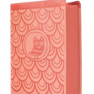 NIrV, Giant Print Compact Bibl…