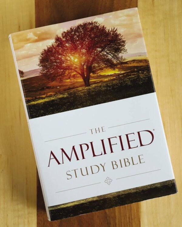 The Amplified Study Bible, Leathersoft/ Hardcover, Brown Imitation Leather – wordlife.shop