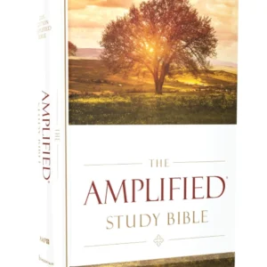 The Amplified Study Bible, Leathersoft/ Hardcover, Brown Imitation Leather
