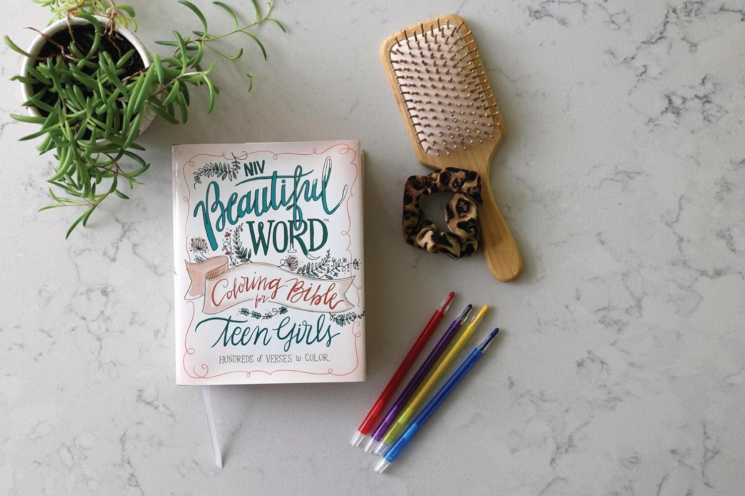 NIV BTFL WRD CLRNG BIB TN HC - Image 3