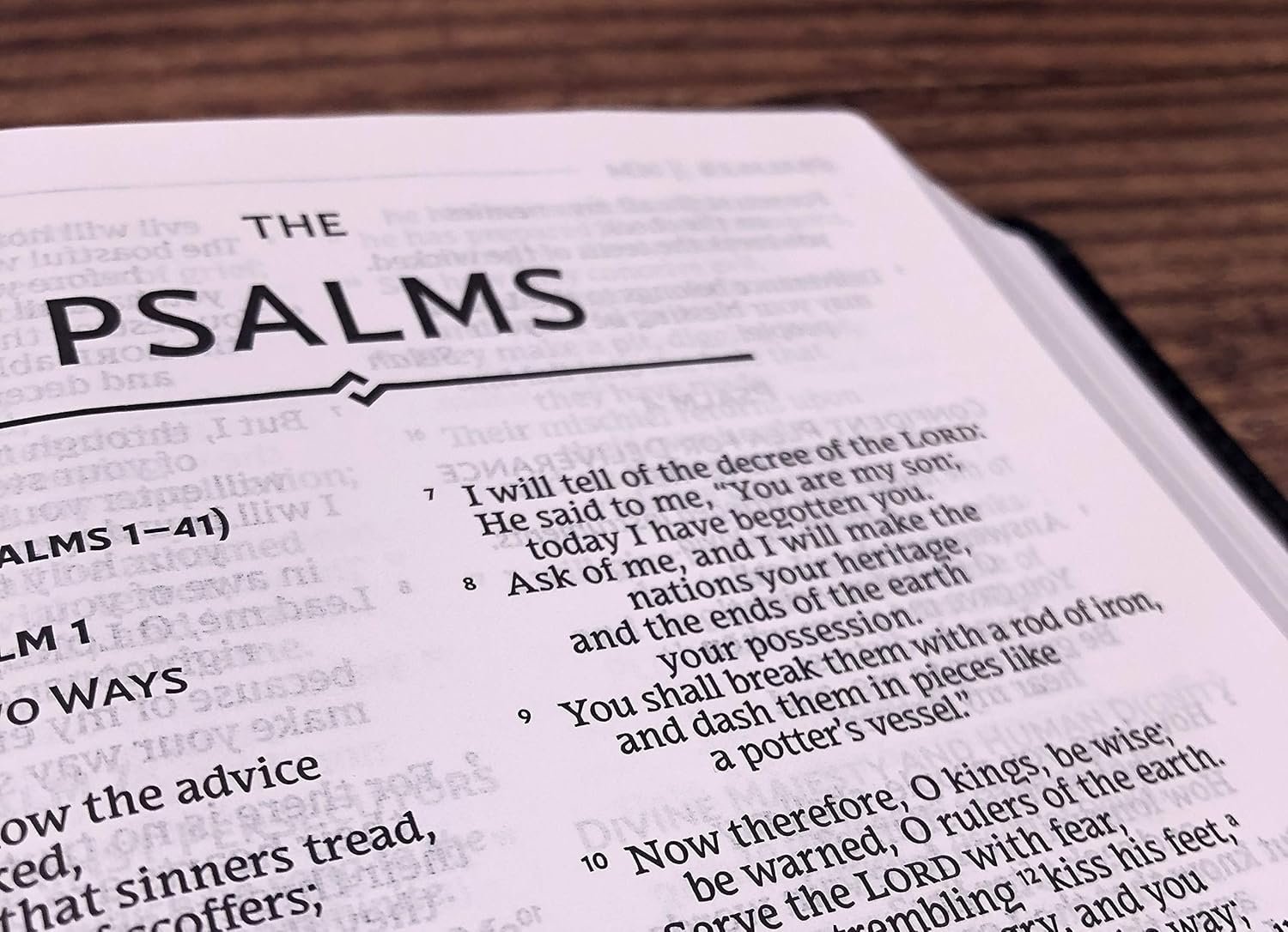 NRSV THINLINE BIBLE LS PURPLE - Image 5