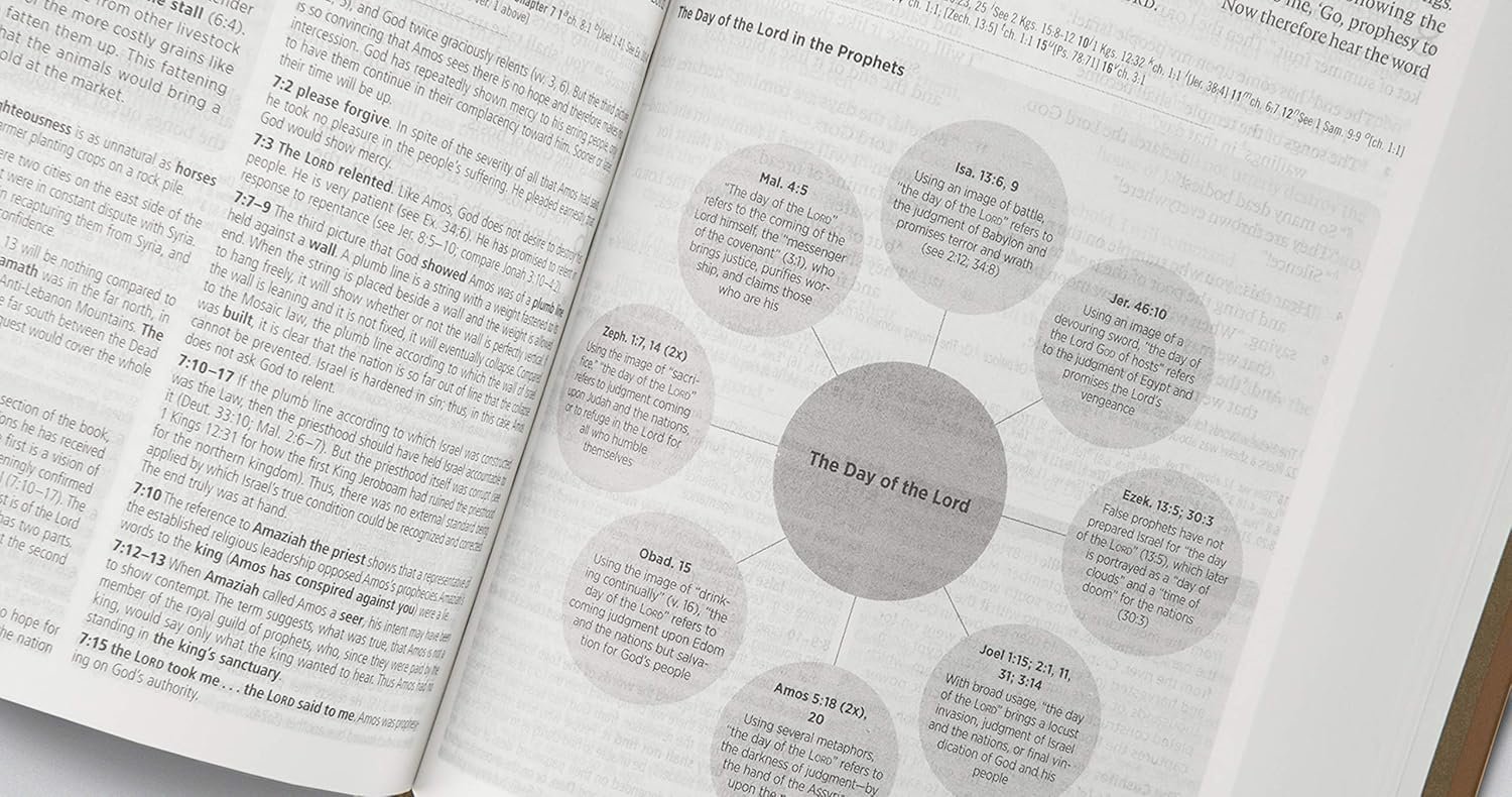 ESV Global Study Bible Hardcover – Illustrated - Image 5