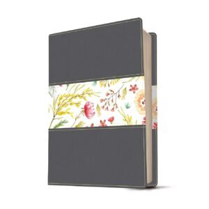 The Message The Bible in Conte…