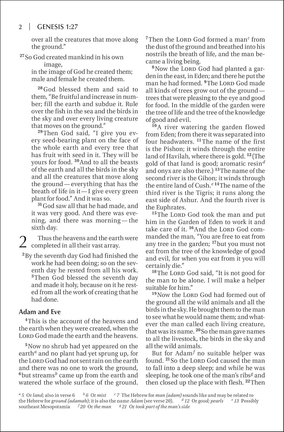 NIV OUTREACH BIB LP SC - Image 5