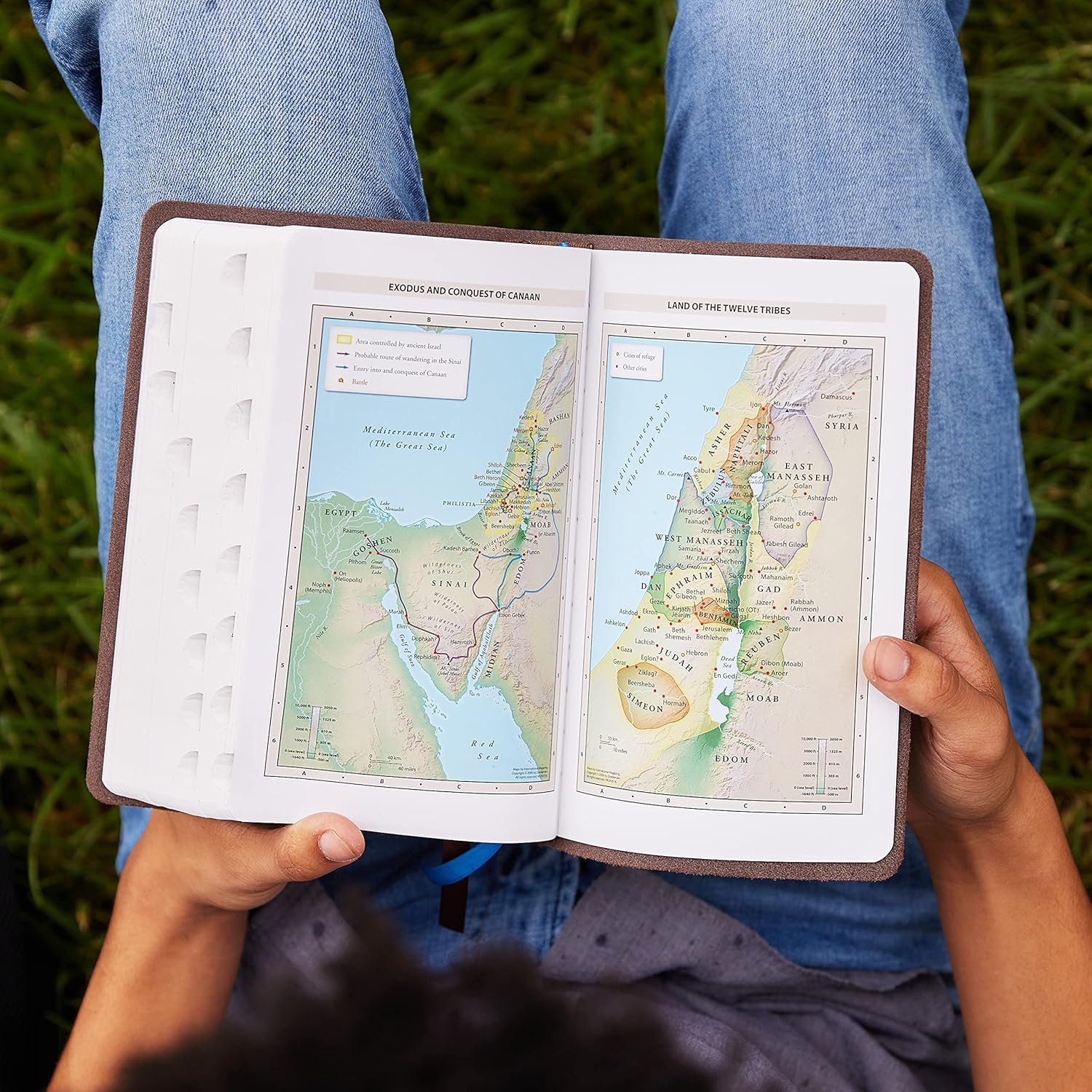 KJV, Large Print Center-Column Reference Bible, Verse Art Cover Collection, Genuine Leather, Brown, Red Letter, Comfort Print: Holy Bible, King James Version Leather Bound - Image 2