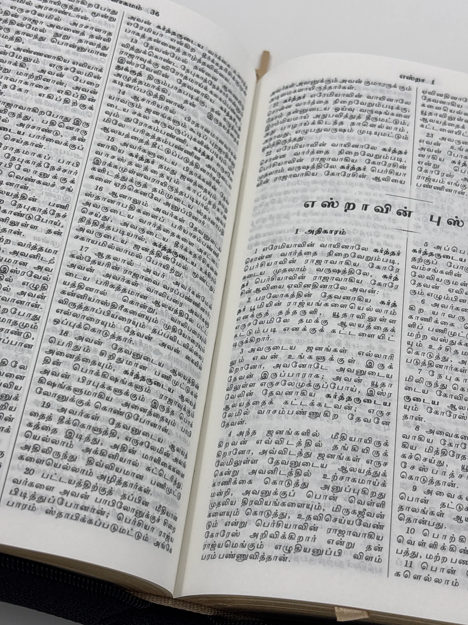 Tamil Holy Bible | Compact Edition | Black Vinyl with Zipper (TI NAP) - Image 4