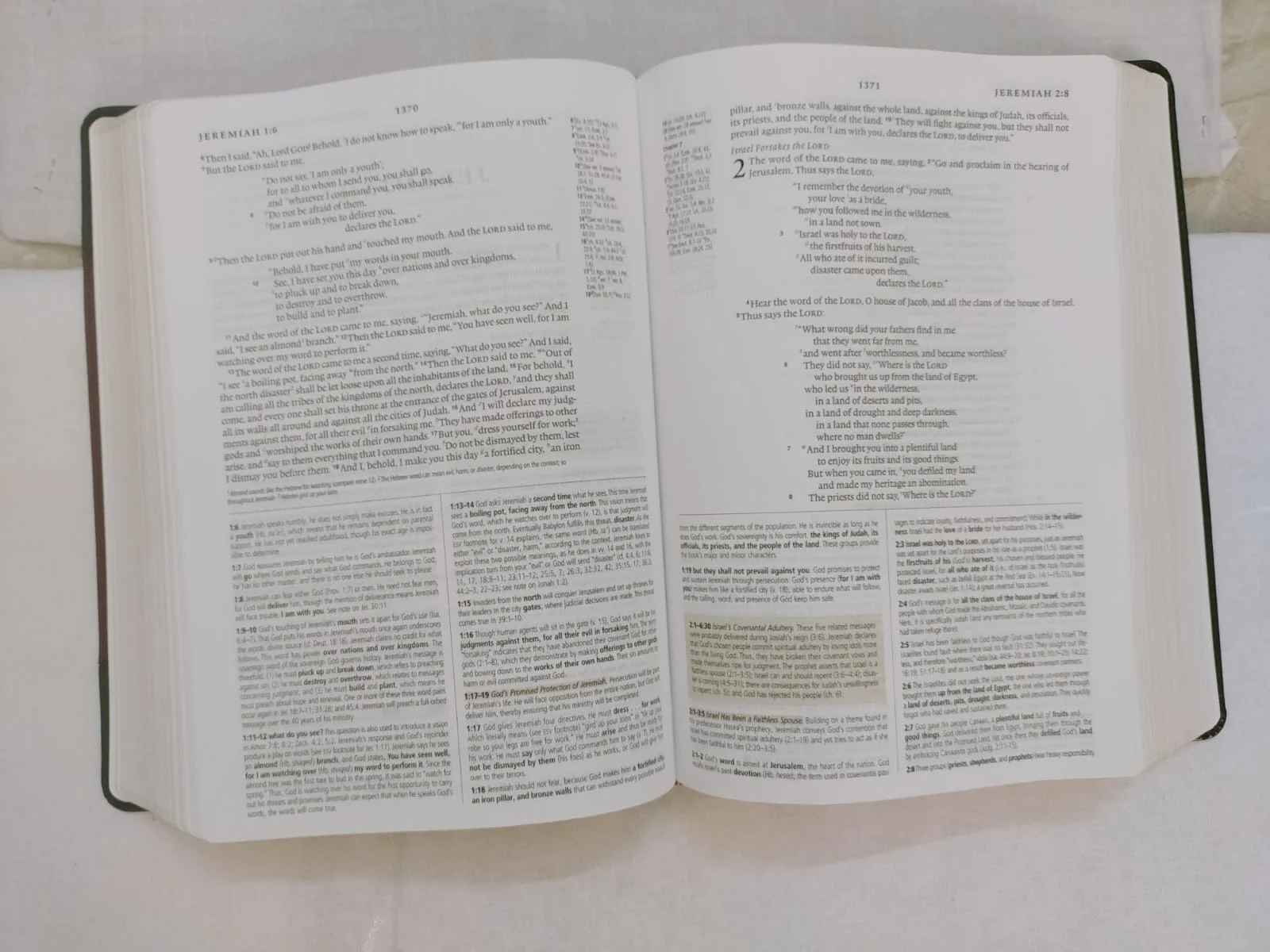 ESV Study Bible,(TruTone, Brown/Cordovan, Portfolio Design): English Standard Version, Brown/Cordovan, Trutone, Portfolio Design Imitation Leather - Image 3