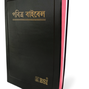 Assamese Holy Bible - BSI vers…